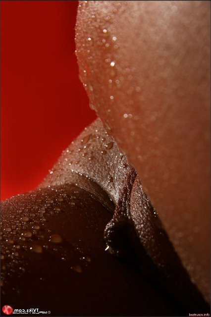 ������, ��������� � ����� � �� ������� ������