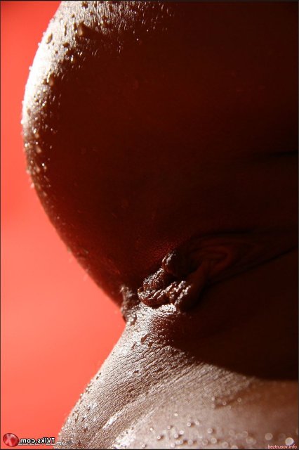 ������, ��������� � ����� � �� ������� ������