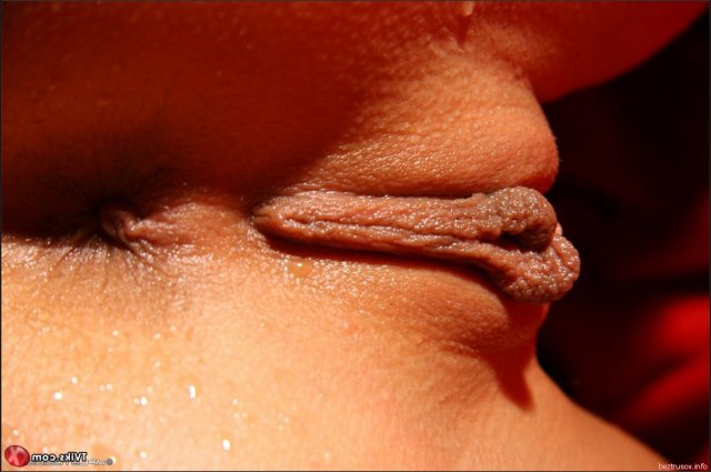 ������, ��������� � ����� � �� ������� ������