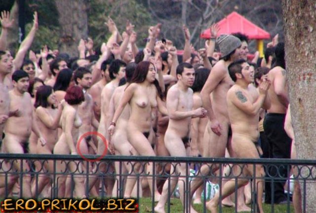 ����� ������� � �������� ��������� ���������� ������� ����