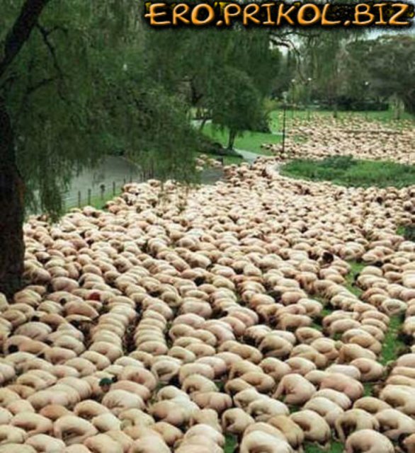 ����� ������� � ��������� ����� � ��������� ���������