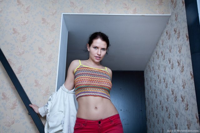 �������� �������� � ��������� ����������� ������ �� ���������� ����