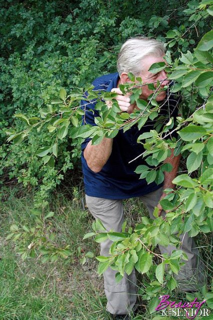 ������: ��������� � �������� �������� ����� ���� � ��������� �� �������