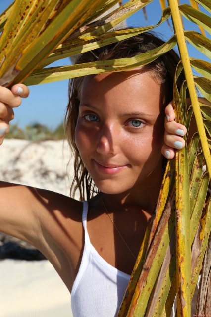 �������� ��������� � �������� �������� �������� ����� �� �����