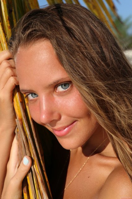 �������� ��������� � �������� �������� �������� ����� �� �����