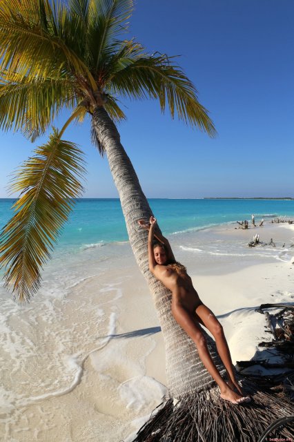 �������� ��������� � �������� �������� �������� ����� �� �����