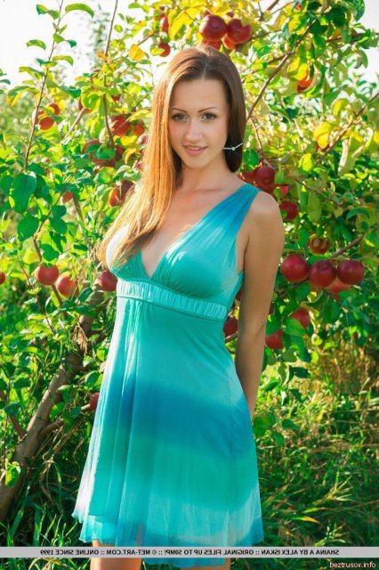 ������� ����������� �������� ������� �� ��������� �� �������