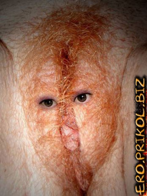 �������� ����� ��������, ��� ����� ������������� ��������� �����