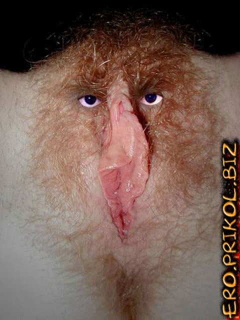 �������� ����� ��������, ��� ����� ������������� ��������� �����