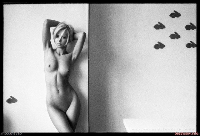 ��������������� ������ � �������� ���� �� ����������� ���������